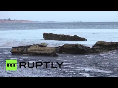 شاهد تسرب 80 ألف لتر من النفط قبالة سواحل كاليفورنيا