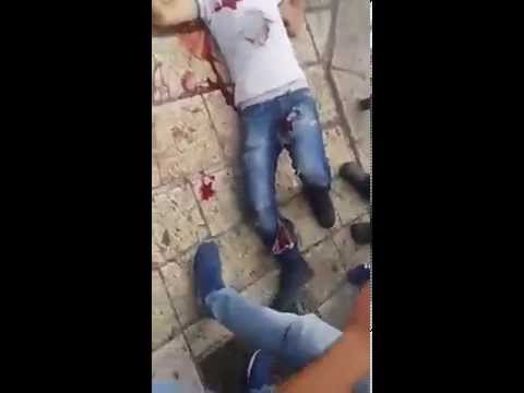 بالفيديو منفذ عملية الطعن في باب العامود
