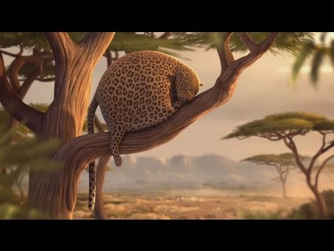 شاهد تأثير الأطعمة السريعة على شكل الحيوانات