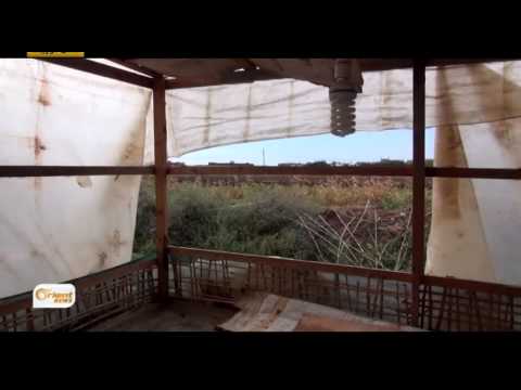 إخلاء خط عكار الساحلي بعد إنذار الجيش اللبناني