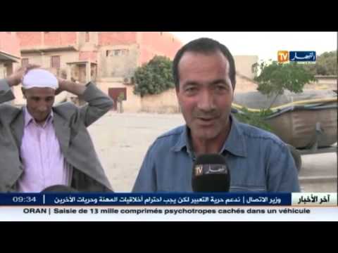 سكان في خنشلة يشتكون من انتشار البعوض
