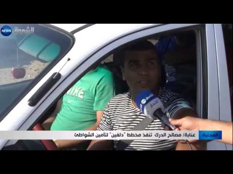 شاهد مصالح الدرك تنفذ مخطط دلفين لتأمين الشواطئ