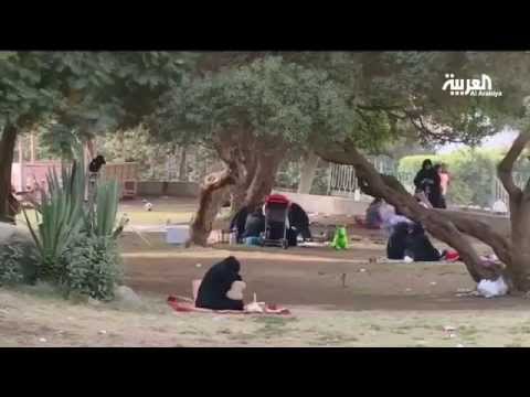 شاهد نهاية أسبوع طبيعية للغاية في أبها