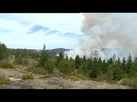 شاهد احتواء حريق هائل في محمية طبيعية برتغالية