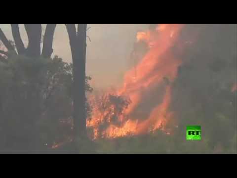 شاهد حرائق في كاليفورنيا الأمريكية تمتد لأكـثر 50 كم مربعا