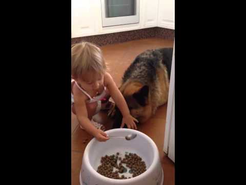 شاهد طفلة تصر على إطعام كلبها بالملعقة