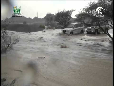 شاهد أمطار الخير تهطل على مناطق متفرقة