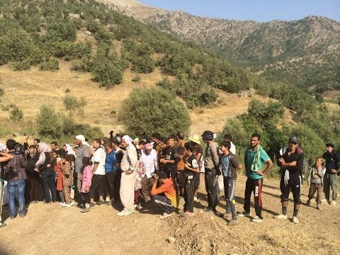 جبل سنجار شاهد على انتهاكات داعش في حق الأزيديين