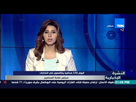 شاهد 330 محاميًّا يتنافسون في انتخابات مجلس النقابة