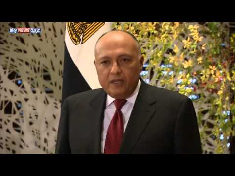 شكري يؤكد أن  مصر تدعم الجهود الدولية لمكافحة  التطرف