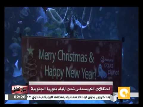 شاهد احتفالات الكريسماس تحت المياه في كوريا الجنوبية