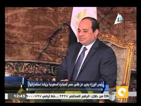 شاهد إسماعيل يعرب عن تقدير مصر للمبادرة السعودية بزيادة استثماراتها