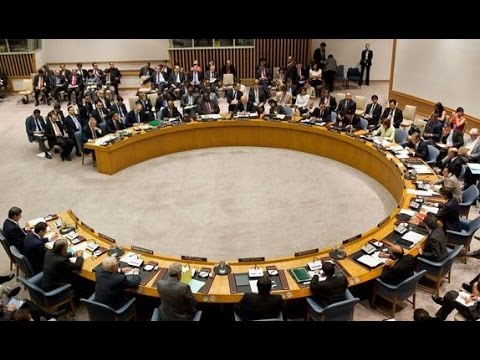 أبرز ما جاء في قرار مجلس الأمن الدولي حول سورية