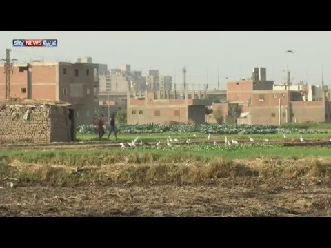 جزر النيل عزلة جغرافية وغياب الخدمات