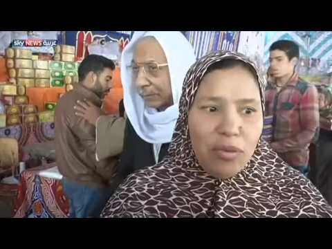 بالفيديو استعدادات للاحتفال بالمولد النبوي في مصر