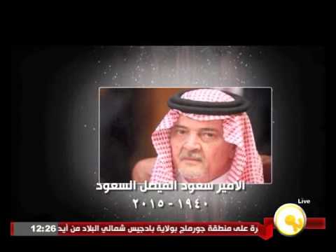 بالفيديو حصاد الراحلين خلال العام 2015