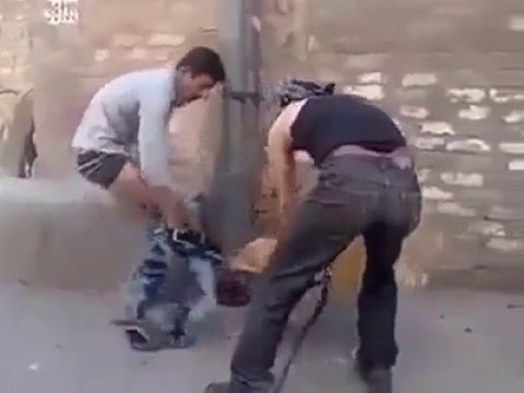 شاهد بلطجية يستخدمون كلبًا في تثبيت مراهق