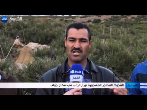 شاهد المحاجر المهجورة تزرع الرعب في سكان جواب