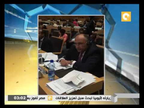 مصر تفوز بعضوية مجلس السلم والأمن الإفريقي