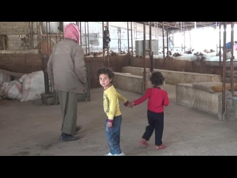 شاهد أسر سورية تعيش مع المواشي في لبنان