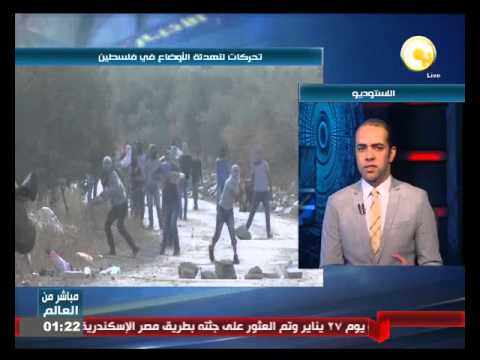 شاهد شعث يؤكد أن الخيار الأمثل لحماس حكومة الوحدة الوطنية