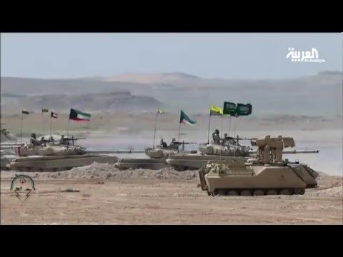 شاهد الفرضيات الـ 8 في مناورات رعد الشمال